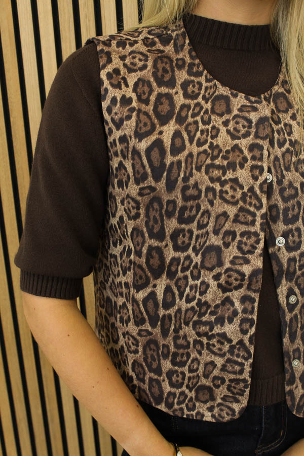 Gilet_panterprint_-_Gani_1-5953_big_image-1