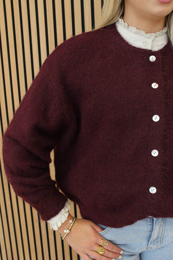 Gebreid_vest_bordeaux_-_Lilly_1-5803_big_image