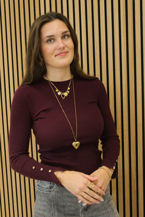 Knitted_trui_bordeaux_-_Lena-2_big_image-1