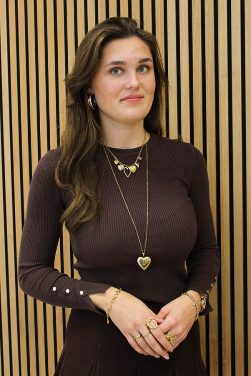 Knitted_trui_bruin_-_Lena-2_big_image