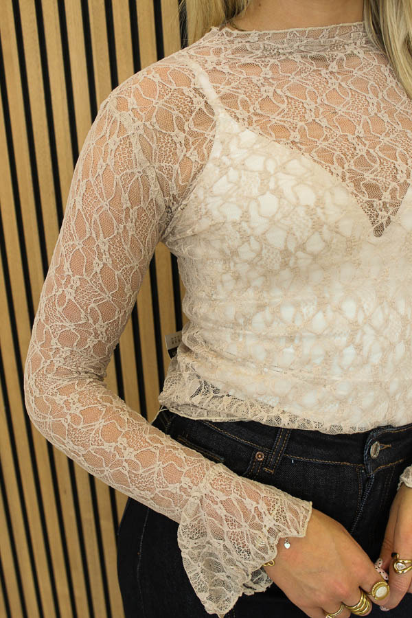 Lace_top_bruin_-_Tess_3-5980_big_image