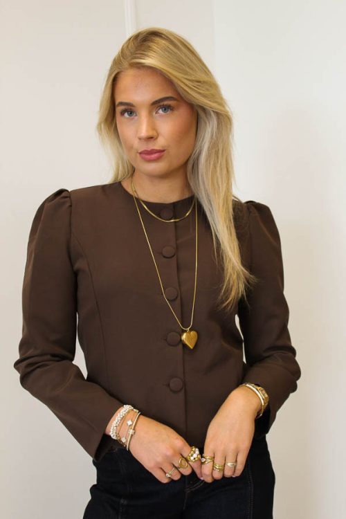 Top_knopen_bruin_-_Lily-2_big_image