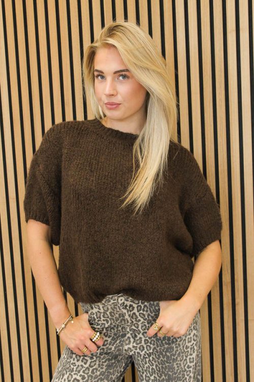 Trui_korte_mouw_bruin_-_Maje-5855_big_image
