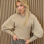 Trui_pofmouw_taupe_-_Suze-2_big_image