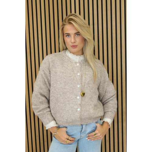 Gebreid_vest_taupe_-_Lilly-5808_big_image_cic-1