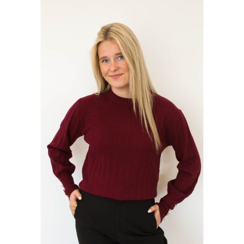 Geribde_top_bordeaux_-_Sanne-2_big_image_r8h