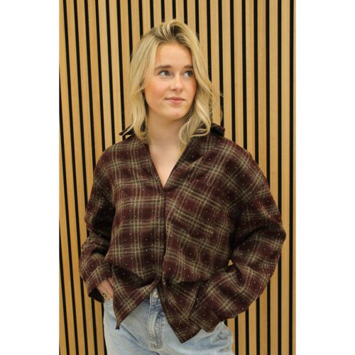 Geruite_blouse_bordeaux_-_Demi-7441_big_image